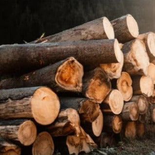 Fresh Cut Wood