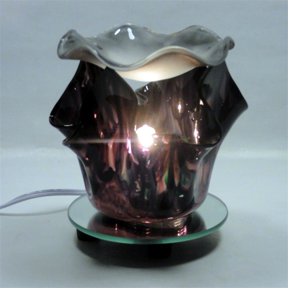 Flame  Electric Warmer